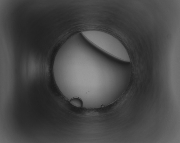 X0000100960258200806241149