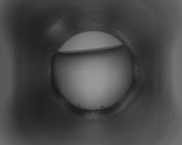 X0000100960259200806241149