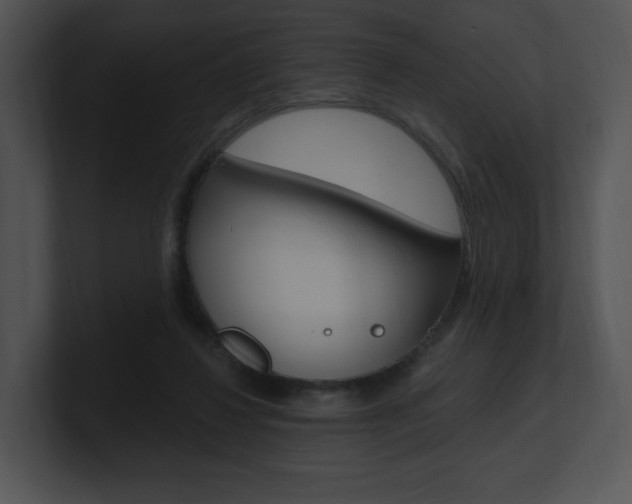 X0000100960260200806241149