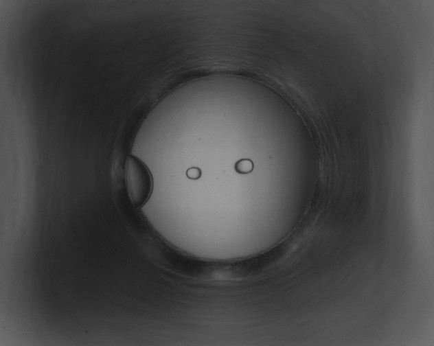 X0000100960264200806241149