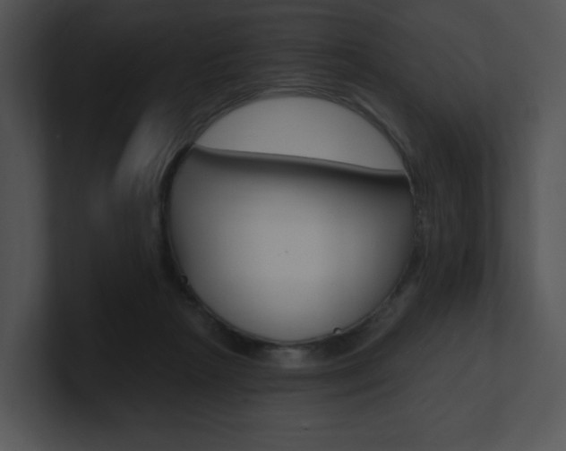 X0000100960265200806241149