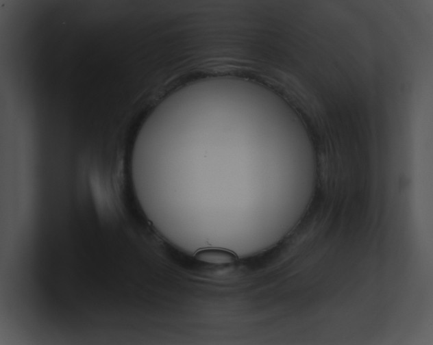 X0000100960267200806241149