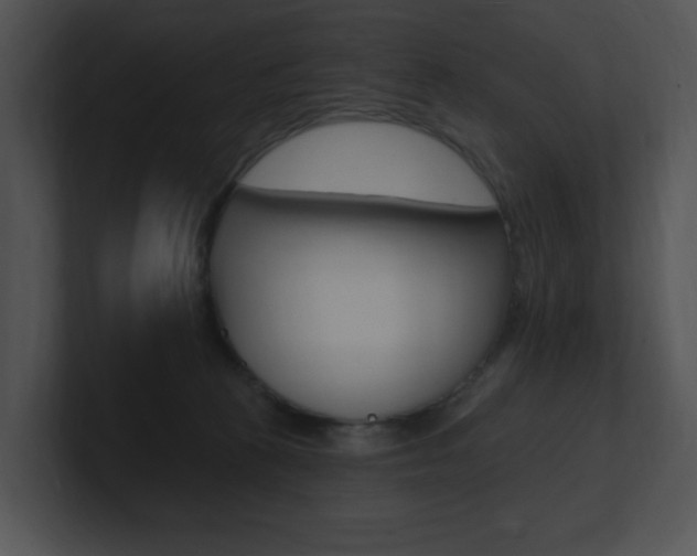 X0000100960273200806241149