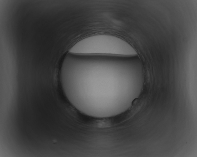 X0000100960275200806241149