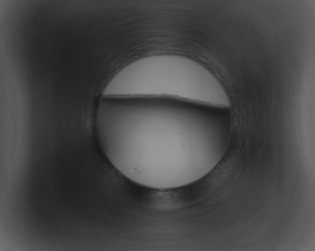 X0000100960277200806241149
