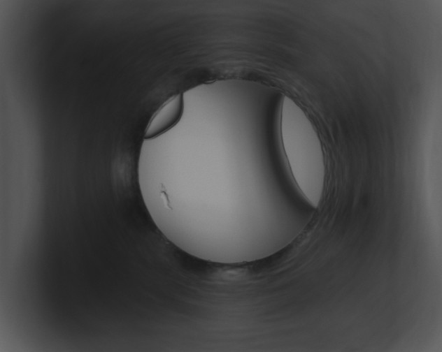 X0000100960283200806241149