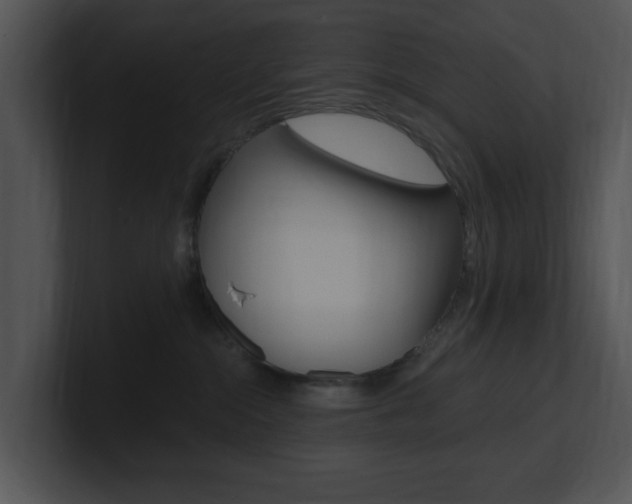 X0000100960284200806241149
