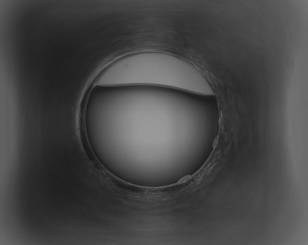 X0000100960292200806241149