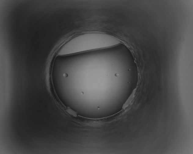 X0000100960293200806241149