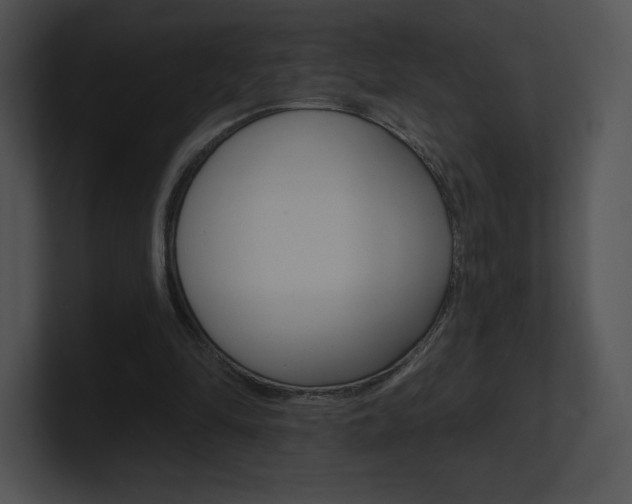 X0000100960294200806241149