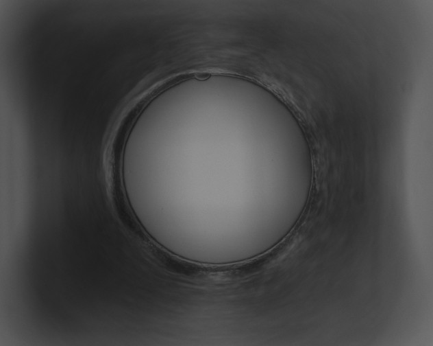 X0000100960295200806241149