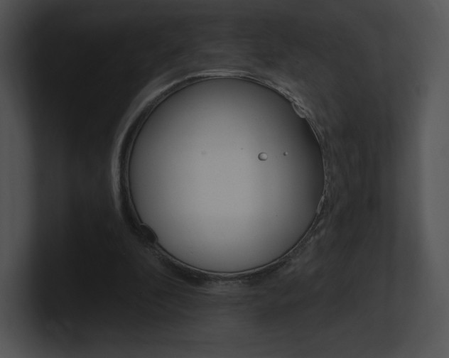 X0000100960296200806241149
