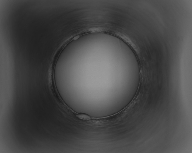 X0000100960297200806241149