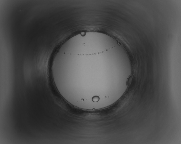 X0000100960303200806241149