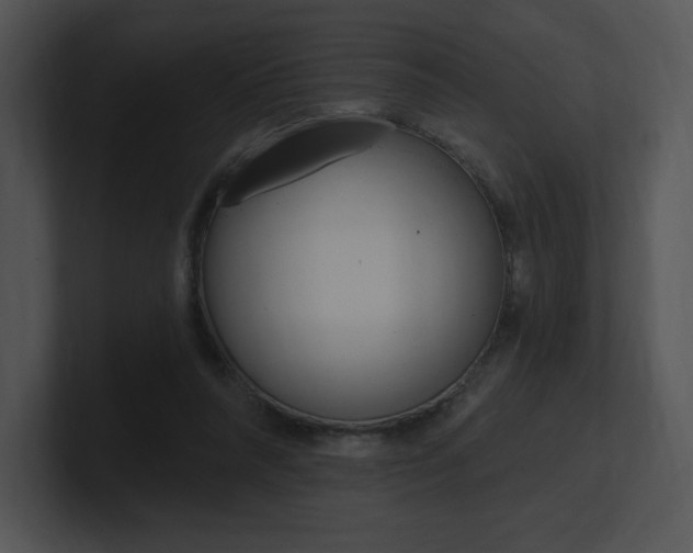 X0000100960304200806241149