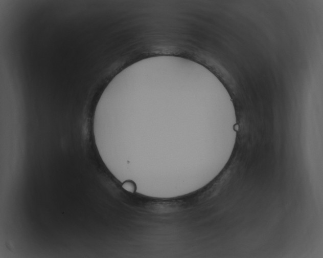 X0000100960305200806241149