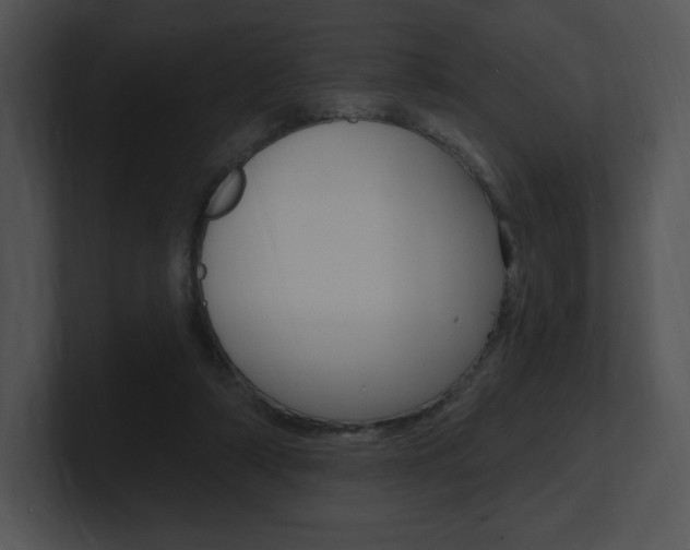 X0000100960306200806241149