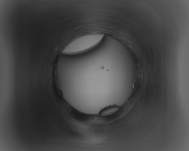 X0000100960319200806241148