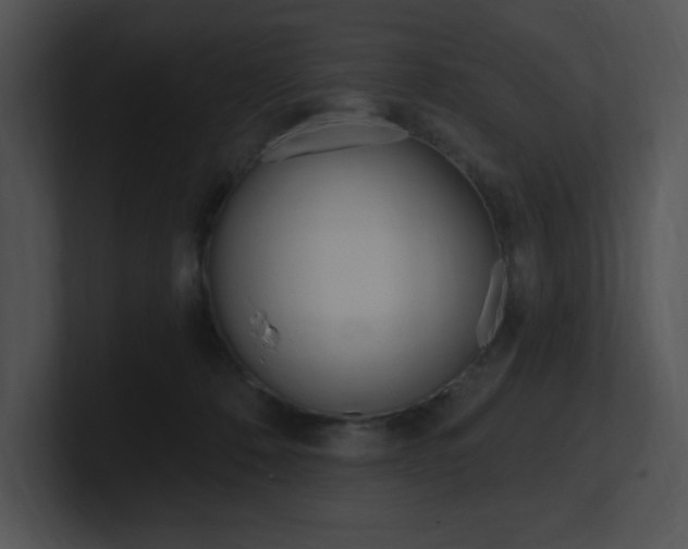 X0000100960320200806241148