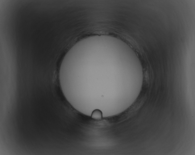 X0000100960322200806241148