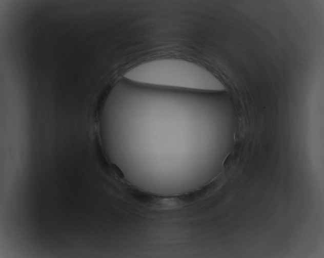 X0000100960324200806241148