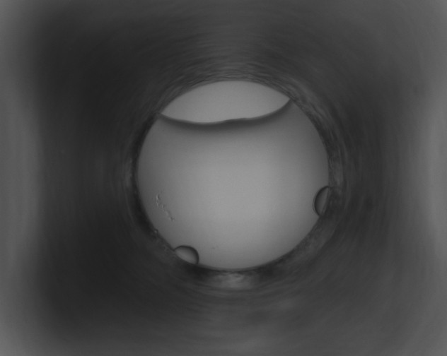 X0000100960326200806241148