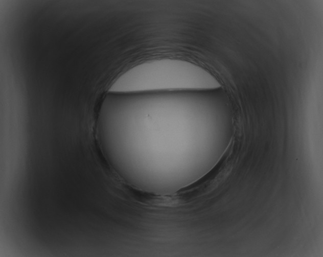 X0000100960328200806241148