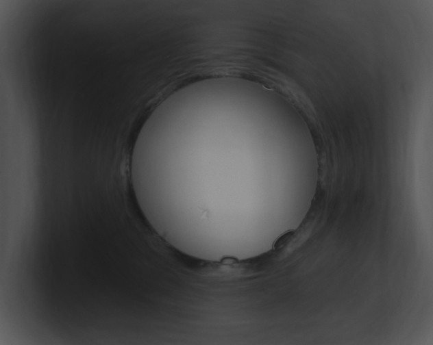 X0000100960329200806241148