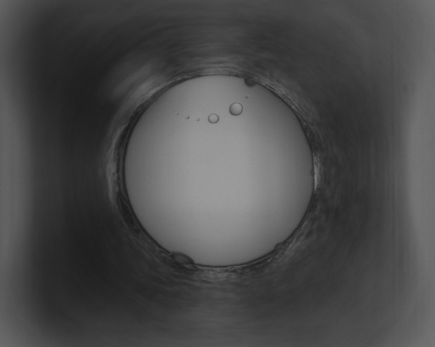 X0000100960339200806241148