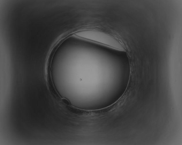 X0000100960340200806241148