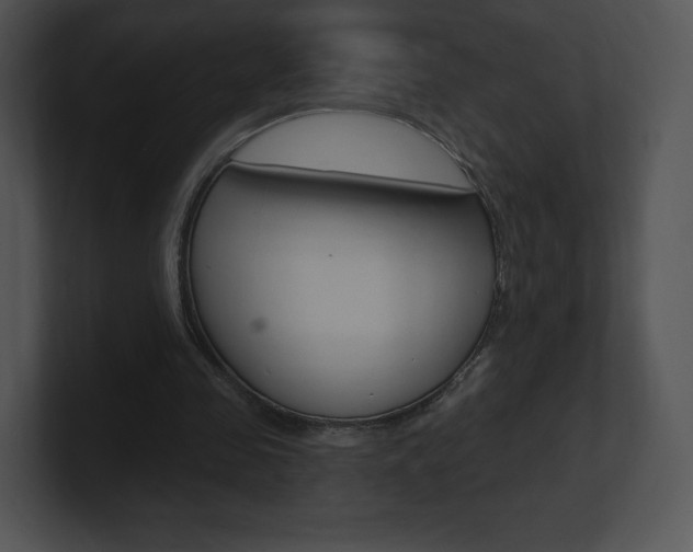 X0000100960341200806241148