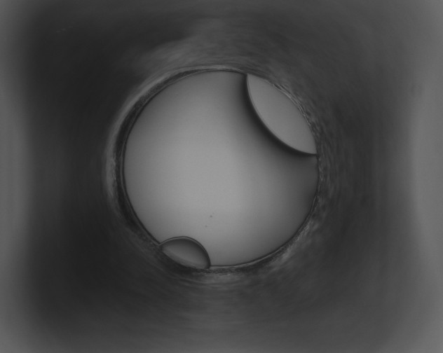 X0000100960342200806241148