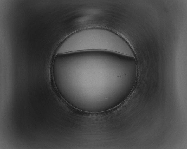 X0000100960345200806241148