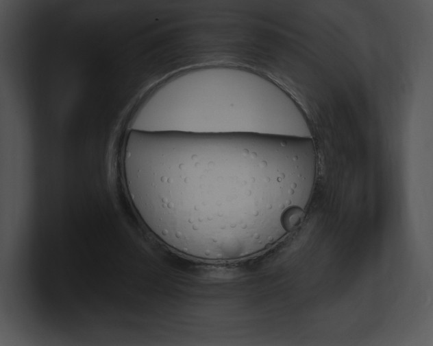 X0000100960347200806241148