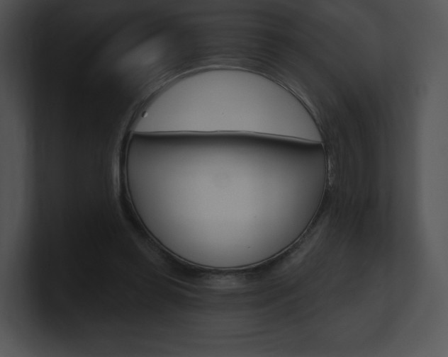 X0000100960349200806241148