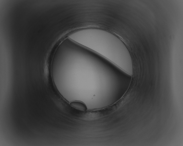 X0000100960350200806241148