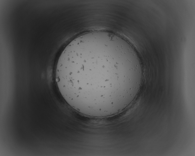 X0000100960351200806241148