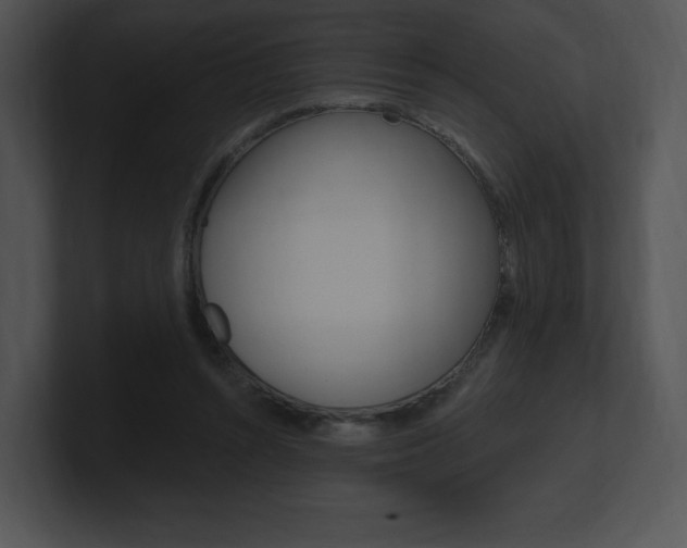 X0000100960352200806241148