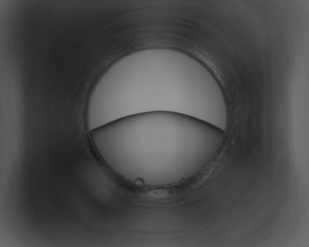 X0000100960353200806241148