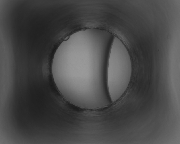 X0000100960354200806241148