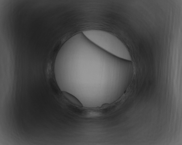 X0000100960360200806241148