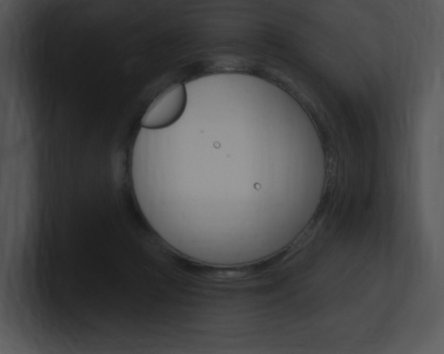 X0000100960361200806241148