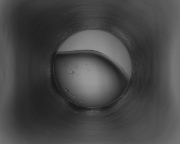 X0000100960362200806241148