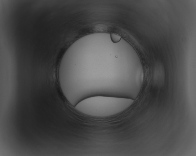 X0000100960363200806241148
