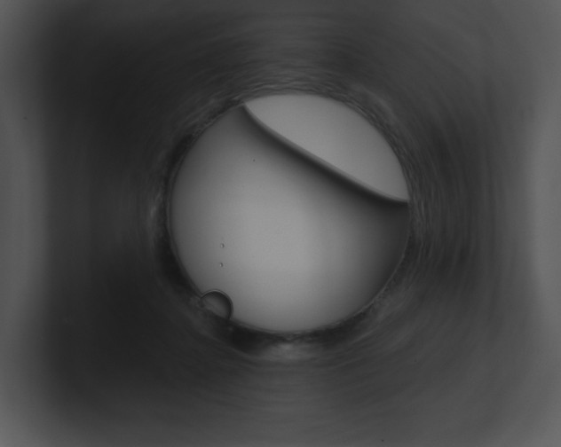X0000100960364200806241148