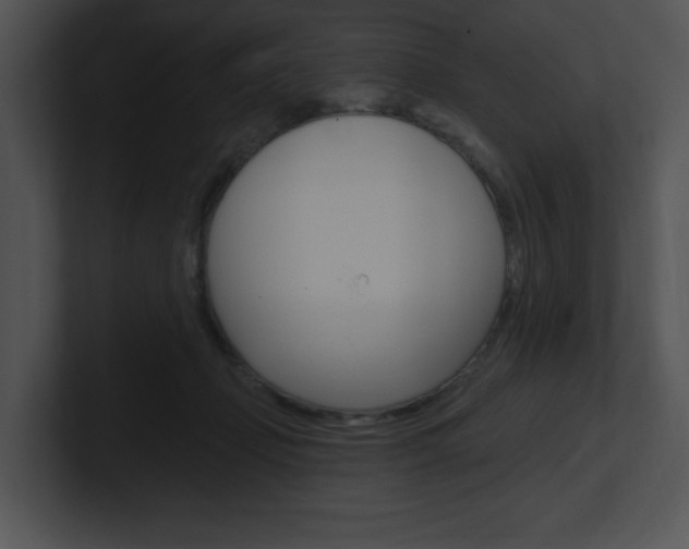 X0000100960365200806241148