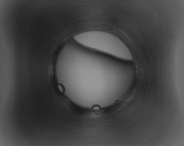 X0000100960368200806241148