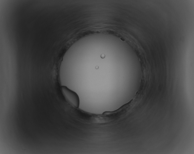 X0000100960372200806241148