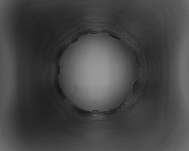 X0000100960376200806241148