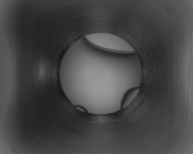 X0000100960379200806241148